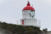 Leuchtturm an der Albatros Kolonie