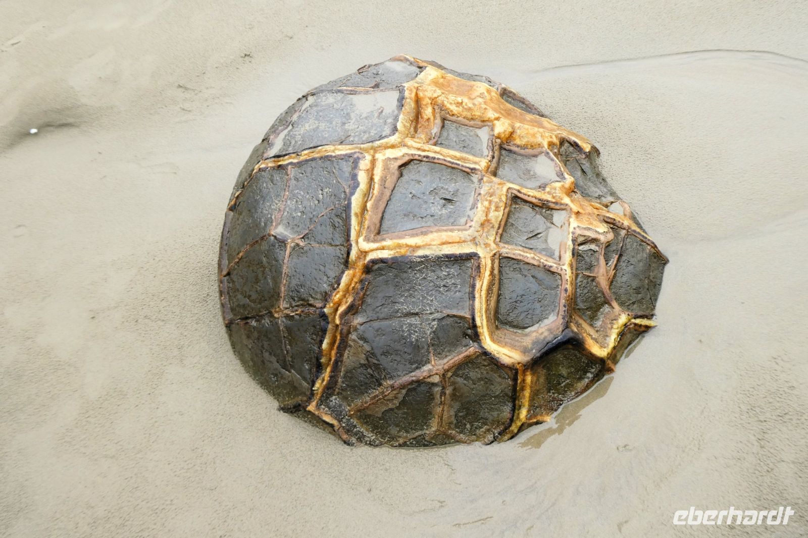 Einlagerungen in den Rissen