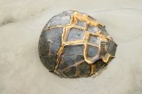 Einlagerungen in den Rissen