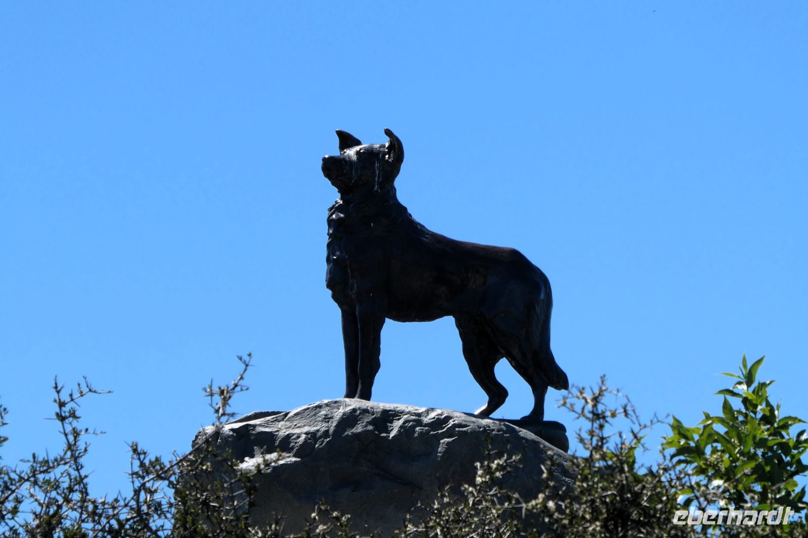 Denkmal für die Hütehunde