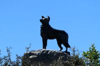 Denkmal für die Hütehunde