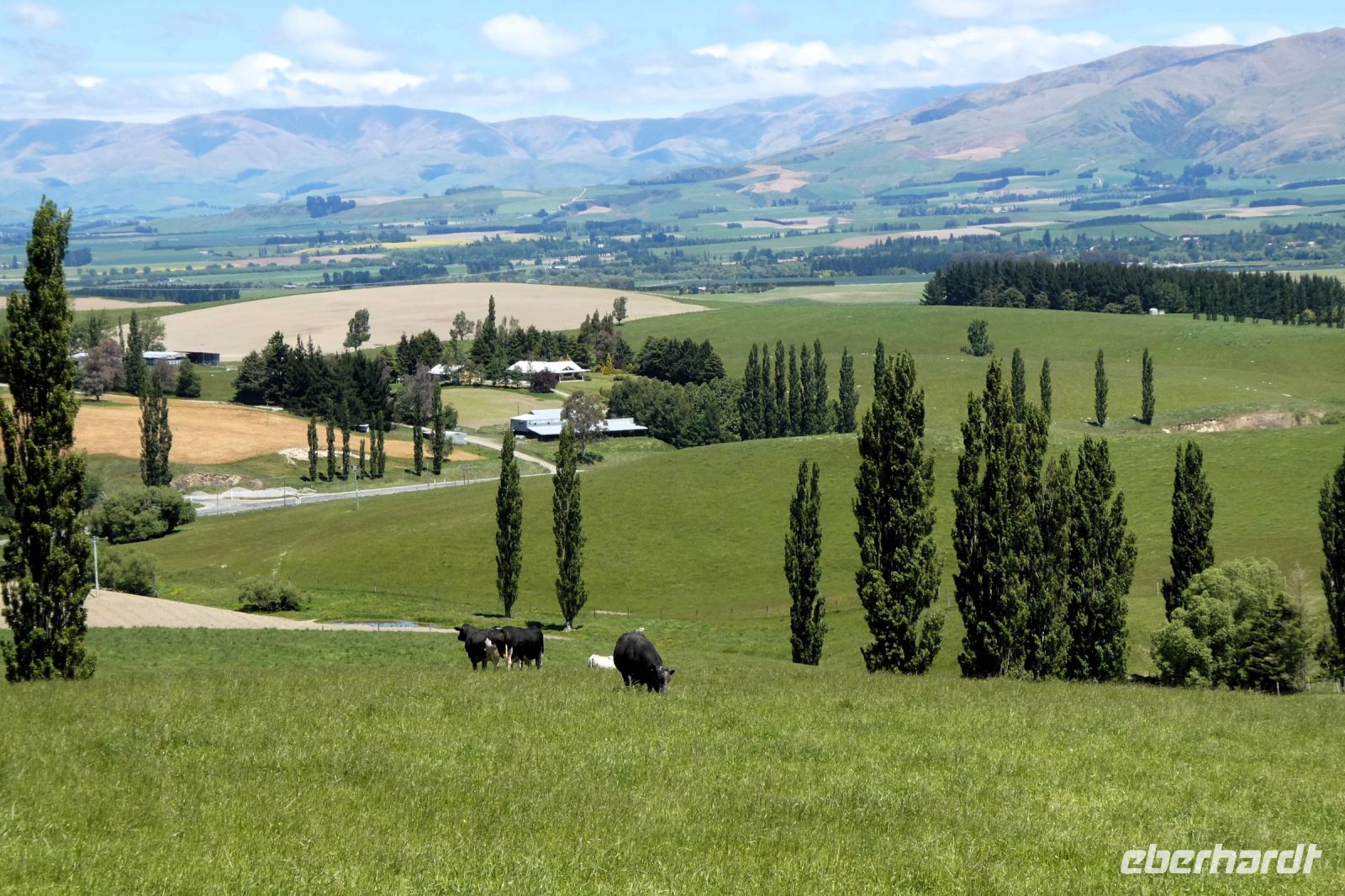 es grünt so grün....