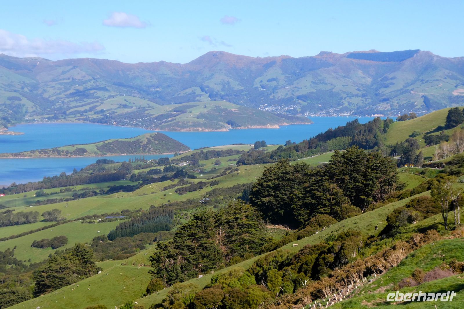 Blick auf die Bucht von Akaroa