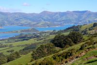 Blick auf die Bucht von Akaroa