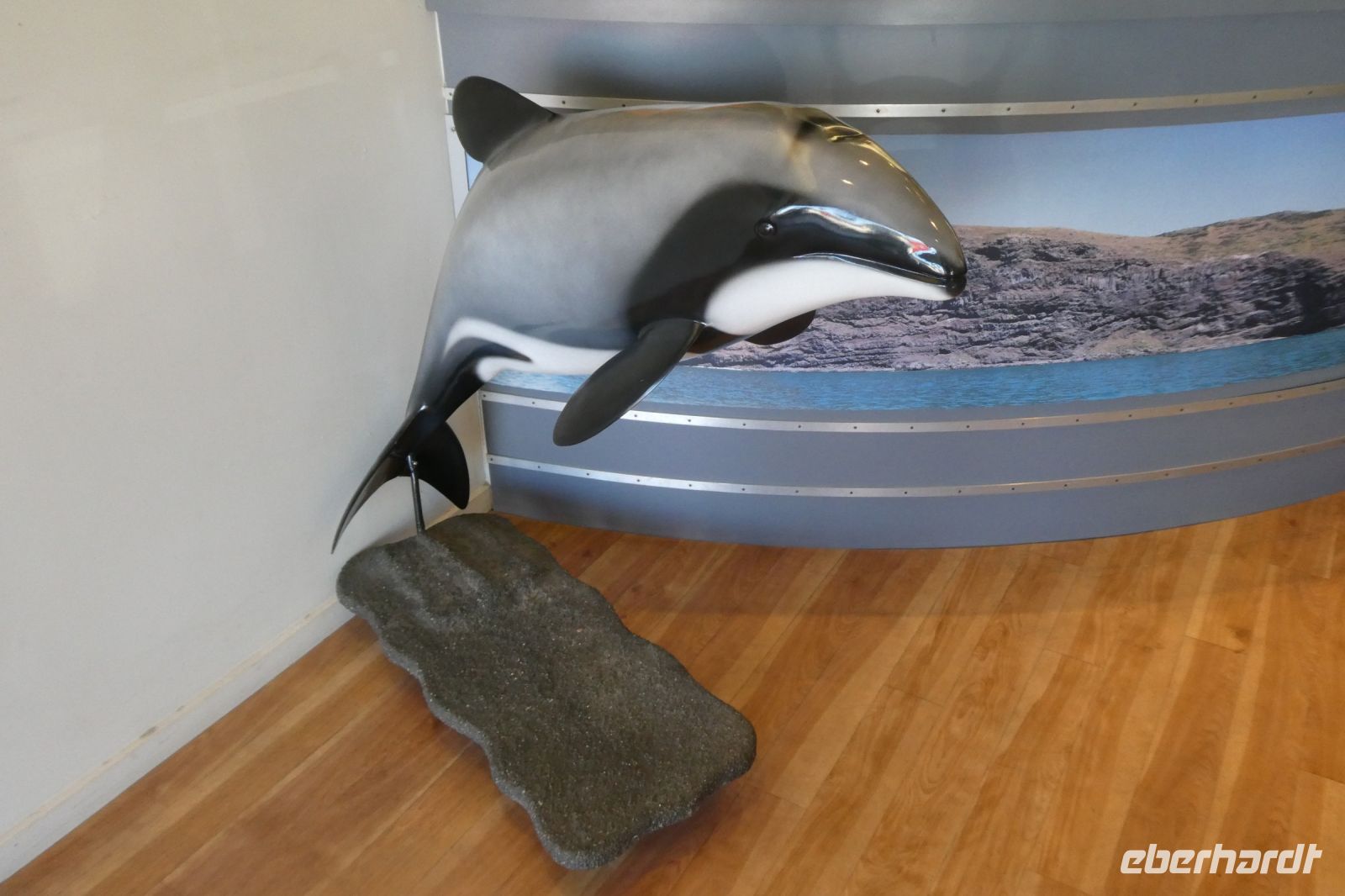 hoffentlich sehen wir sie