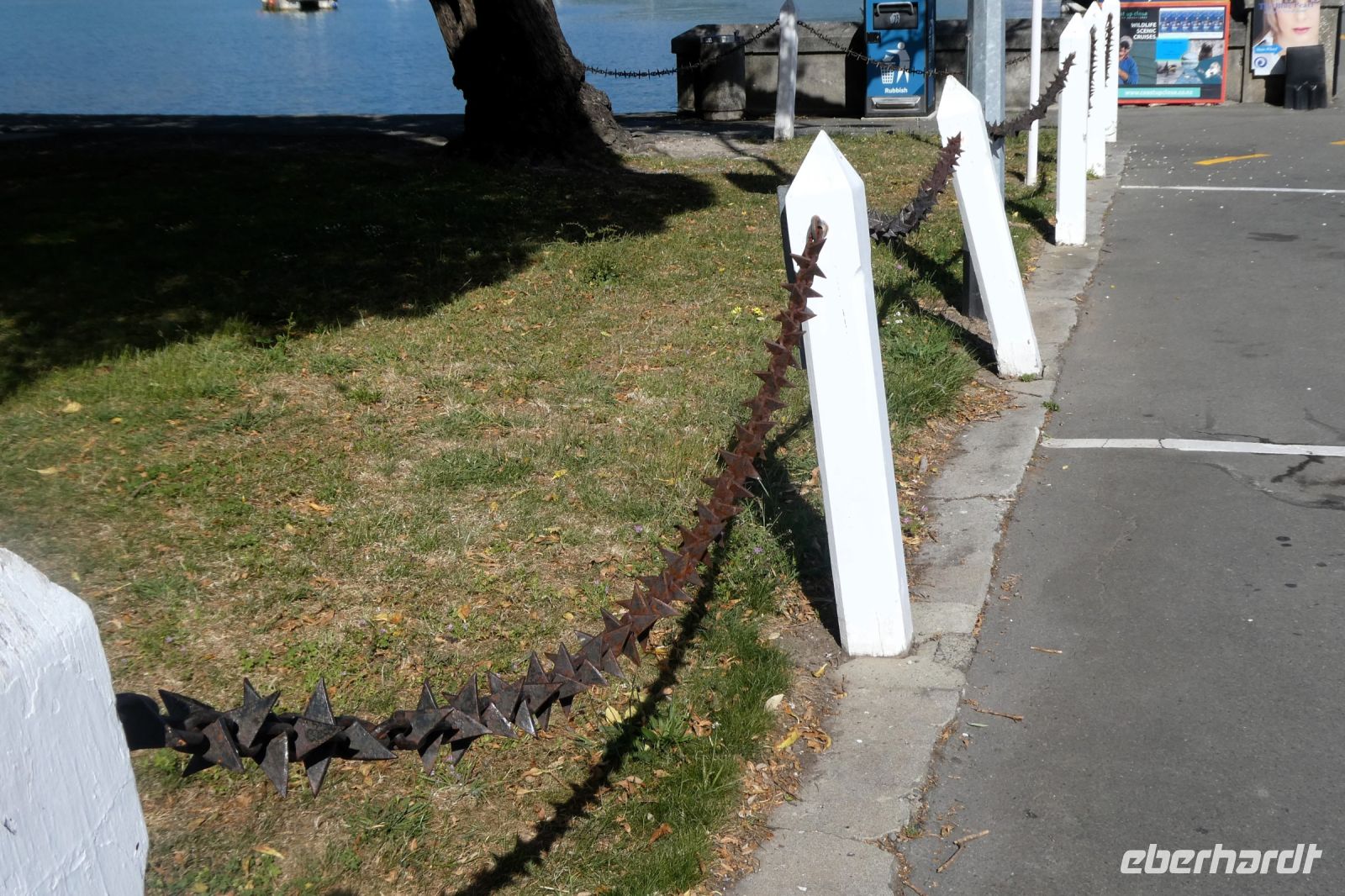 hier schaukelt so schnell niemand