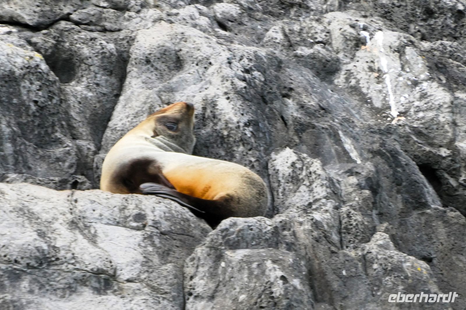 die kennen wir doch schon