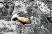 die kennen wir doch schon