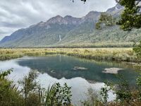 15. Reisetag – Von Dunedin zum Milford Sound – Fotostopp an den Mirror Lakes