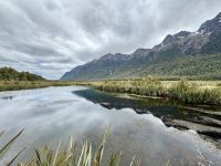 15. Reisetag – Von Dunedin zum Milford Sound – Fotostopp an den Mirror Lakes