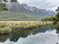 15. Reisetag – Von Dunedin zum Milford Sound – Fotostopp an den Mirror Lakes