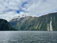 15. Reisetag – Von Dunedin zum Milford Sound – Kurze Tour auf dem Milford Sound zur Harrison Cove