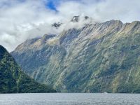 15. Reisetag – Von Dunedin zum Milford Sound – Kurze Tour auf dem Milford Sound zur Harrison Cove