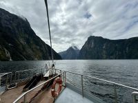 15. Reisetag – Von Dunedin zum Milford Sound – Kurze Tour auf dem Milford Sound zur Harrison Cove