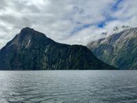 15. Reisetag – Von Dunedin zum Milford Sound – Kurze Tour auf dem Milford Sound zur Harrison Cove