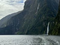 15. Reisetag – Von Dunedin zum Milford Sound – Kurze Tour auf dem Milford Sound zur Harrison Cove – Hängendes Tal