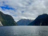 15. Reisetag – Von Dunedin zum Milford Sound – Kurze Tour auf dem Milford Sound zur Harrison Cove