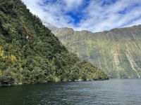 15. Reisetag – Von Dunedin zum Milford Sound – Kurze Tour auf dem Milford Sound zur Harrison Cove