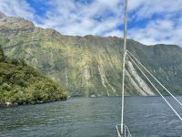 15. Reisetag – Von Dunedin zum Milford Sound – Kurze Tour auf dem Milford Sound zur Harrison Cove