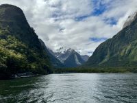 15. Reisetag – Von Dunedin zum Milford Sound – Kurze Tour auf dem Milford Sound zur Harrison Cove