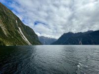 15. Reisetag – Von Dunedin zum Milford Sound – Kurze Tour auf dem Milford Sound zur Harrison Cove