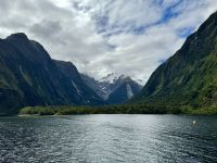 15. Reisetag – Von Dunedin zum Milford Sound – Kurze Tour auf dem Milford Sound zur Harrison Cove