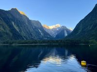 16. Reisetag – Vom Milford Sound nach Queenstown – Milford Sound am Morgen – Harrison Cove