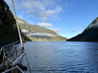 16. Reisetag – Vom Milford Sound nach Queenstown – Milford Sound am Morgen – Auf dem Weg zur Einfahrt