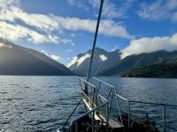 16. Reisetag – Vom Milford Sound nach Queenstown – Milford Sound am Morgen