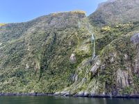 16. Reisetag – Vom Milford Sound nach Queenstown – Milford Sound am Morgen