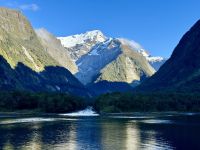 16. Reisetag – Vom Milford Sound nach Queenstown – Milford Sound am Morgen – Harrison Cove