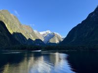 16. Reisetag – Vom Milford Sound nach Queenstown – Milford Sound am Morgen – Harrison Cove