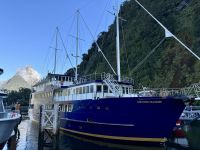 16. Reisetag – Vom Milford Sound nach Queenstown – Milford Sound am Morgen – Ausschiffung