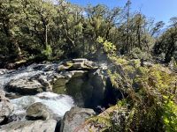 16. Reisetag – Vom Milford Sound nach Queenstown – Rückfahrt nach Te Anau – Spaziergang zum Chasm