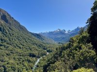 16. Reisetag – Vom Milford Sound nach Queenstown – Rückfahrt nach Te Anau – Aussichtspunkt Hollyford Valley Lookout