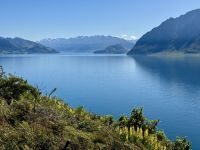 18. Reisetag – Von Queenstown zum Fox-Gletscher – Aussichtspunkt Lake Hawea Lookout