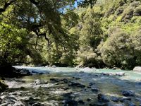 18. Reisetag – Von Queenstown zum Fox-Gletscher – Fotostopp an den Thunder Creek Falls