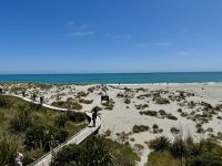 18. Reisetag – Von Queenstown zum Fox-Gletscher – Spaziergang am Ship Creek