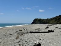 18. Reisetag – Von Queenstown zum Fox-Gletscher – Spaziergang am Ship Creek