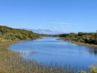 18. Reisetag – Von Queenstown zum Fox-Gletscher – Spaziergang am Ship Creek