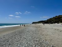 18. Reisetag – Von Queenstown zum Fox-Gletscher – Spaziergang am Ship Creek