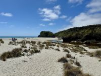 18. Reisetag – Von Queenstown zum Fox-Gletscher – Spaziergang am Ship Creek