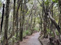 20. Reisetag – Von Greymouth nach Christchurch – Spaziergang auf dem Truman Trail