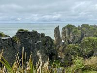 20. Reisetag – Von Greymouth nach Christchurch – Spaziergang zu den Pancake Rocks