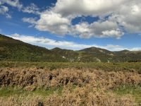 20. Reisetag – Von Greymouth nach Christchurch – Mit dem Tranzalpine durch die Berge