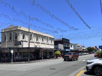 ...Fahrt mit dem TranzAlpine (6)