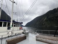 Milford Sound (6)