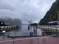 Milford Sound (10)