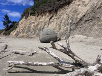 Moeraki Bolders (4)