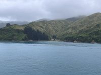 Überfahrt zur Südinsel (1)